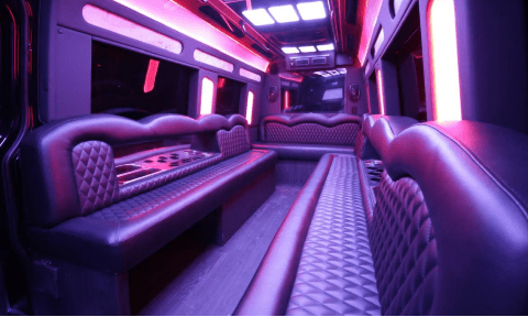 Lowell 14 Passenger Sprinter Bus Interior
