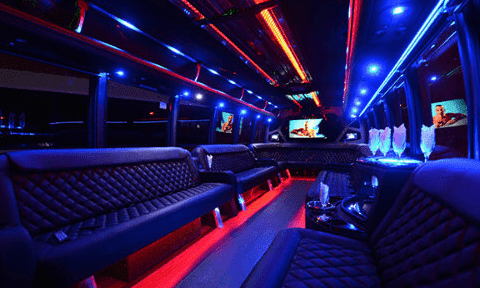 Framingham 30 Passenger Party Bus Black Interior